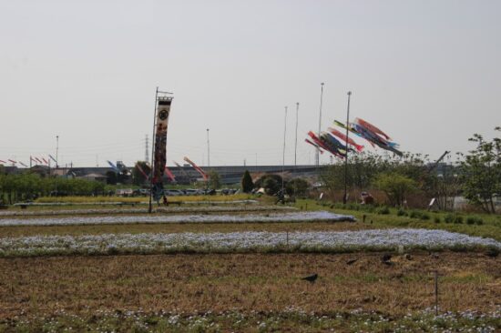 フラワーパーク