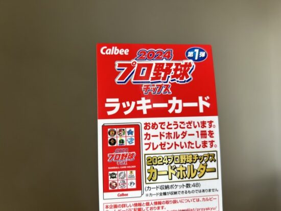 プロ野球チップス