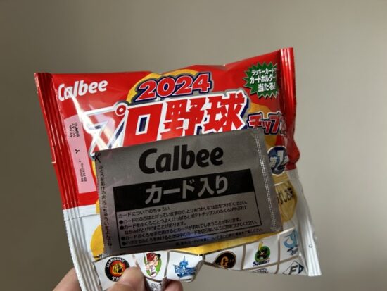プロ野球チップス