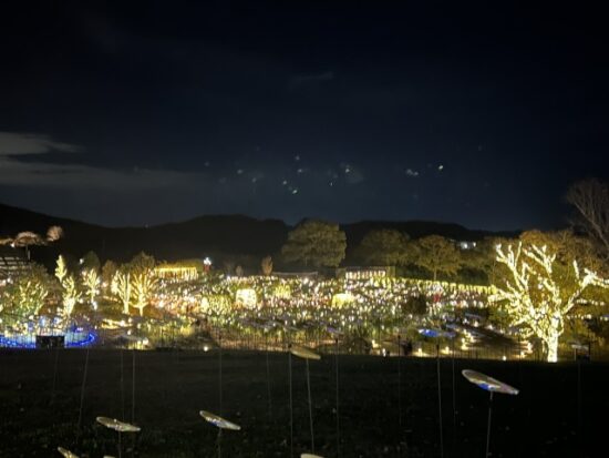 いばらきフラワーパーク