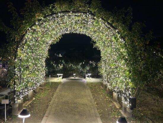 いばらきフラワーパーク