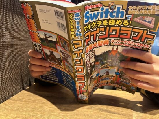 次男攻略本