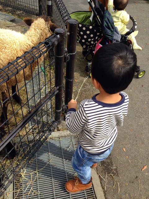 子供たちの画像